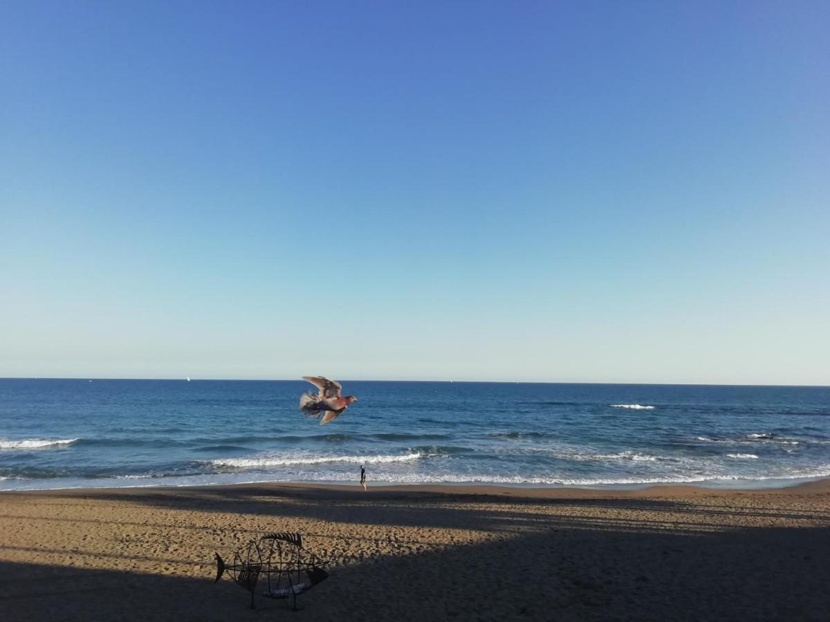Apartamento-Estudio Benalmadena Maite-3 Buitenkant foto